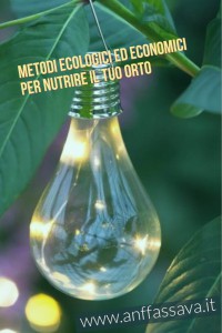 metodi per curare il tuo orto o giardino in modo ecologico