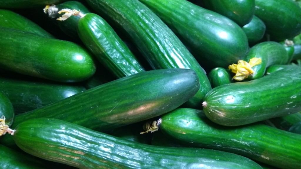 tante ricette fantasiose con le zucchine da Anffas Sala