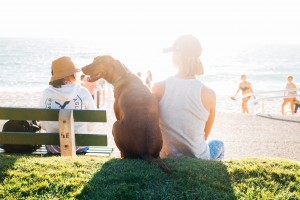 come aiutare gli animali conto il caldo